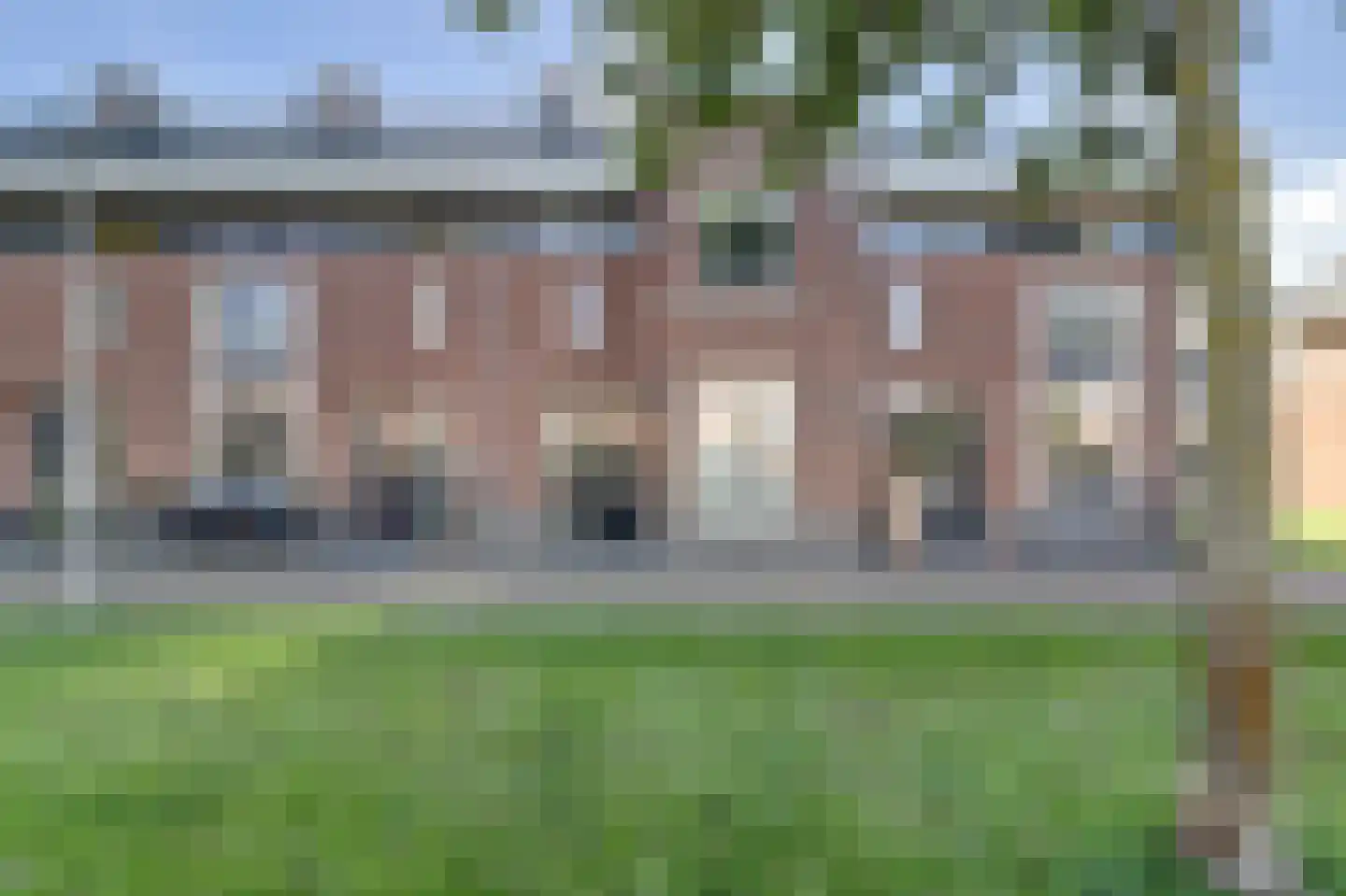 Boomvalk 5 Valkenburg thumbnail 9