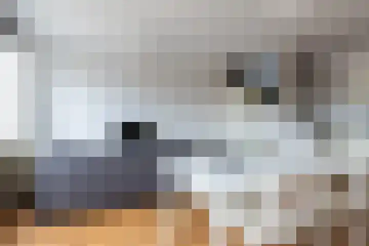 Boomvalkstraat 12 Nijmegen thumbnail 6