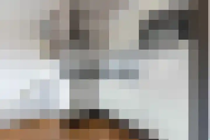 Boomvalkstraat 12 Nijmegen thumbnail 7