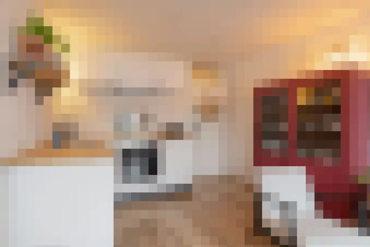 Boomvalkstraat 13 Nijmegen thumbnail 16