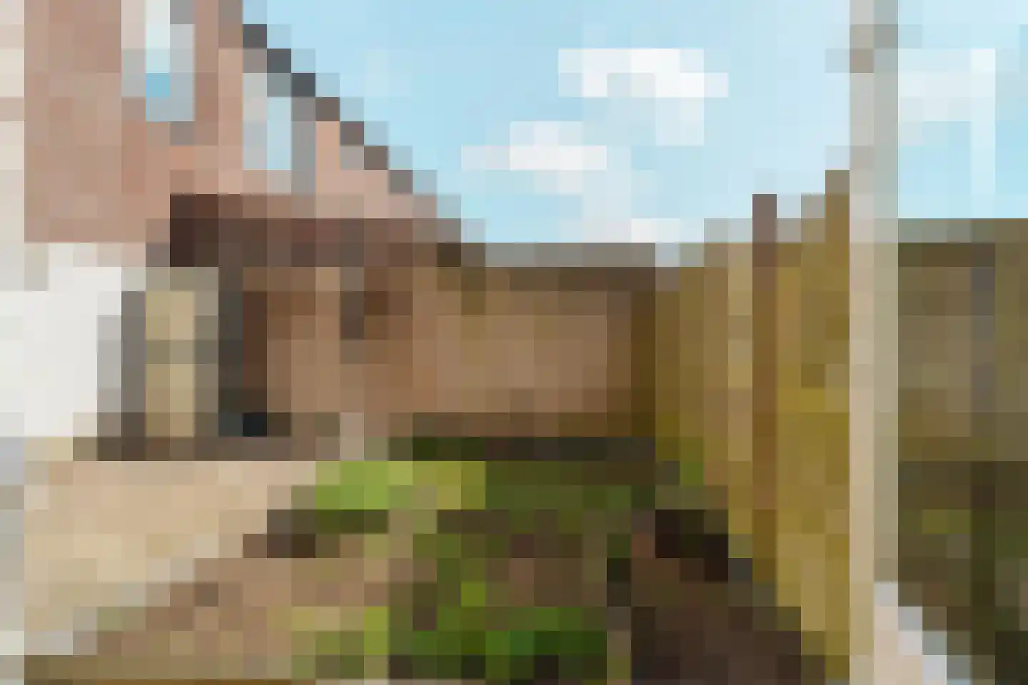 Boomvalkstraat 8 Nijmegen thumbnail 18