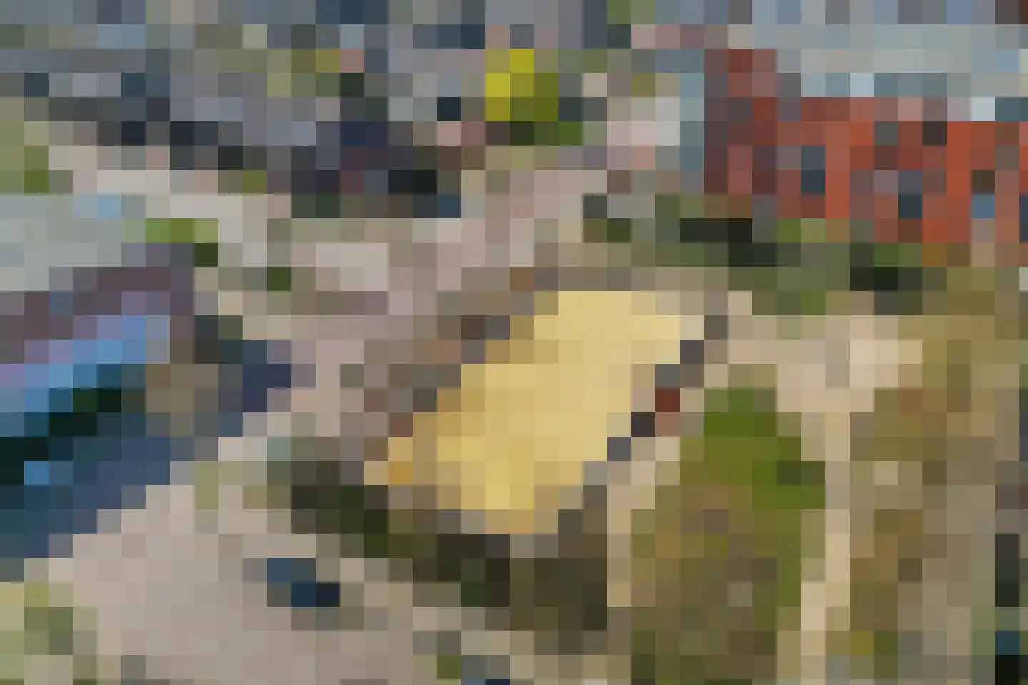 Boomvalkstraat 8 Nijmegen thumbnail 25