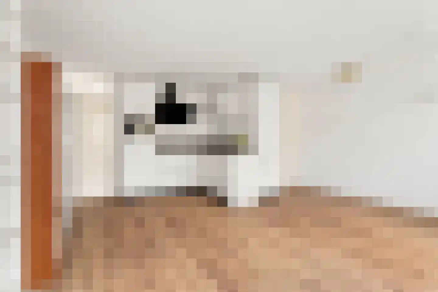 Boomvalkstraat 8 Nijmegen thumbnail 5