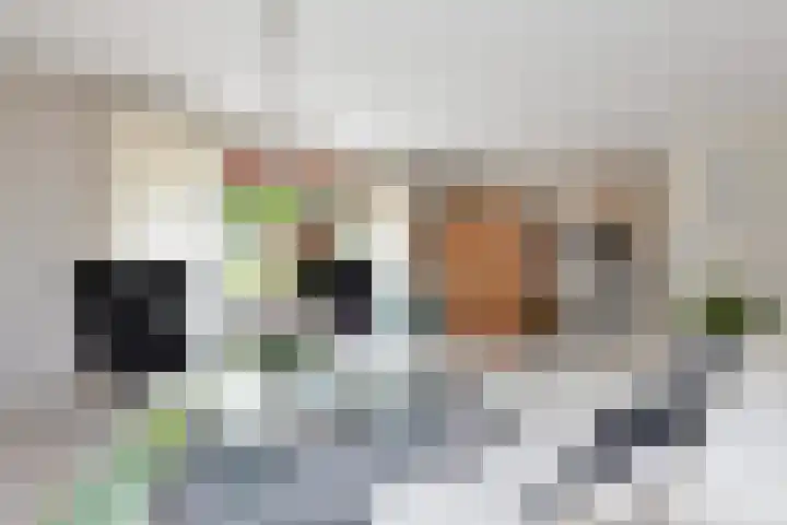 Boomven 1 Veldhoven thumbnail 12