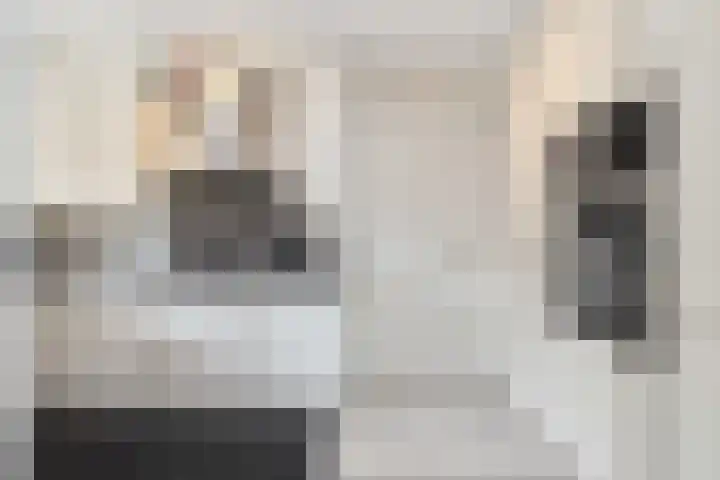 Boomven 1 Veldhoven thumbnail 20