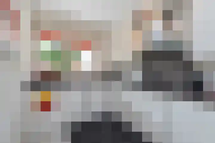 Boomven 1 Veldhoven thumbnail 21