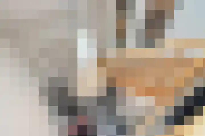 Boomven 1 Veldhoven thumbnail 29