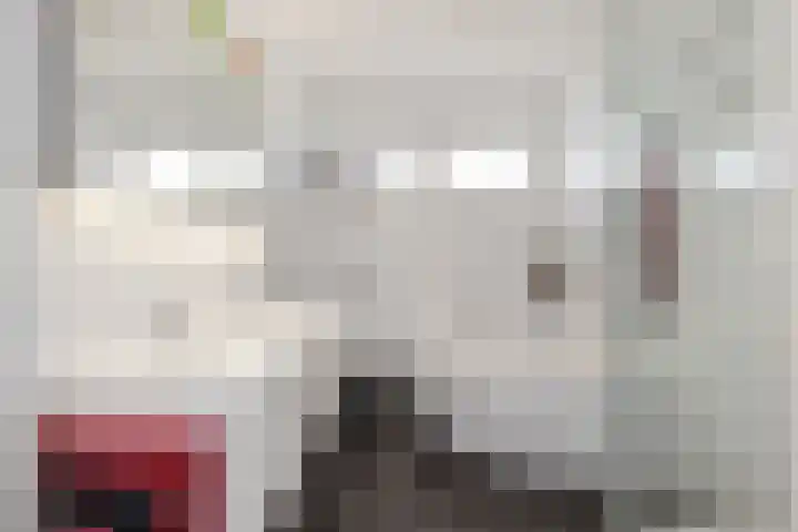 Boomven 1 Veldhoven thumbnail 32