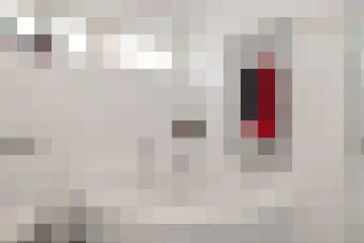 Boomven 1 Veldhoven thumbnail 33