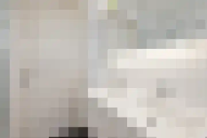 Boomven 1 Veldhoven thumbnail 35