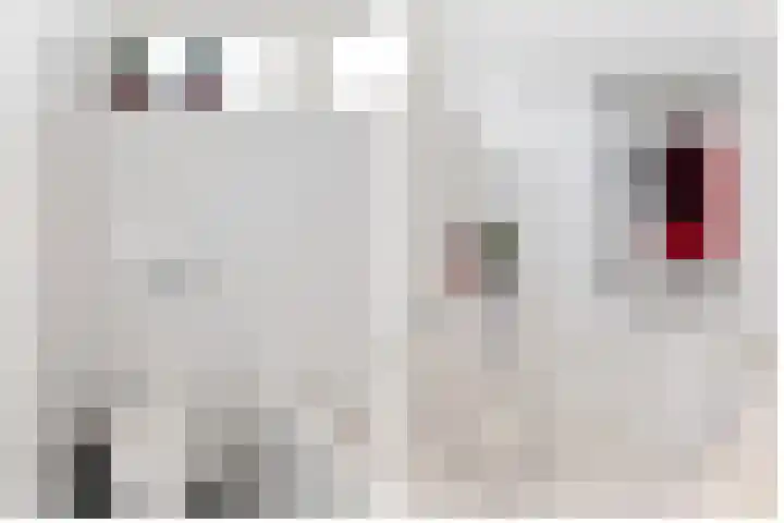 Boomven 1 Veldhoven thumbnail 36