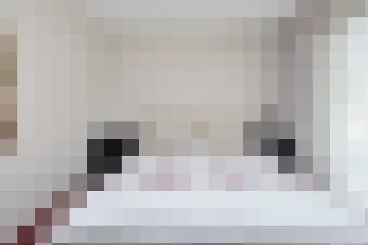 Boomven 1 Veldhoven thumbnail 42