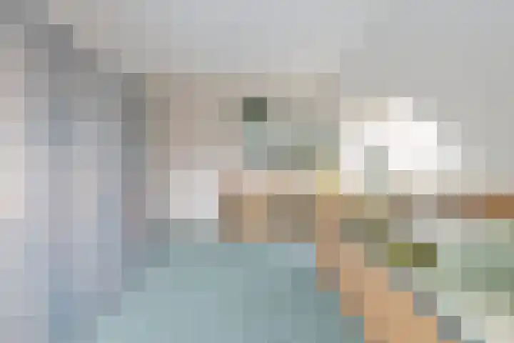 Boomven 1 Veldhoven thumbnail 48