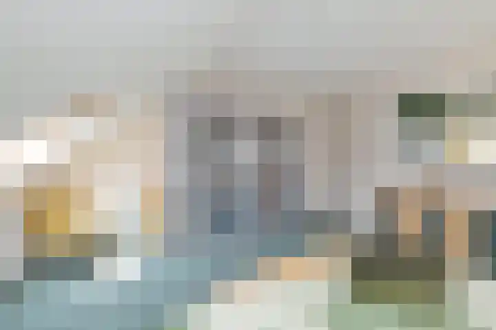 Boomven 1 Veldhoven thumbnail 49