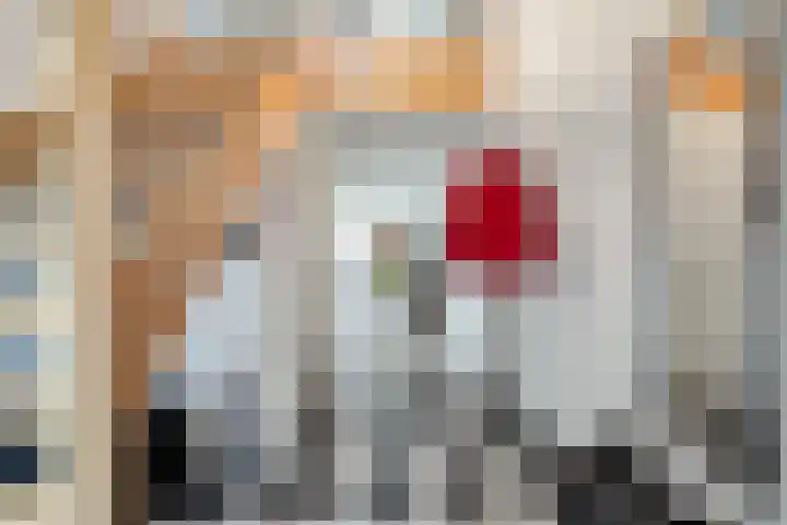 Boomven 1 Veldhoven thumbnail 5