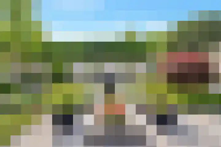 Boomven 1 Veldhoven thumbnail 57