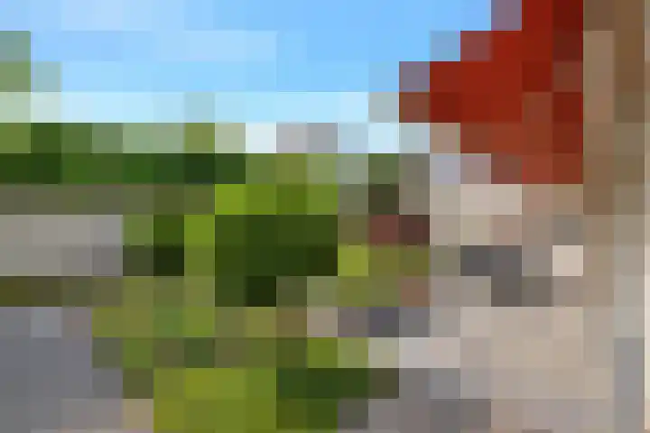 Boomven 1 Veldhoven thumbnail 58