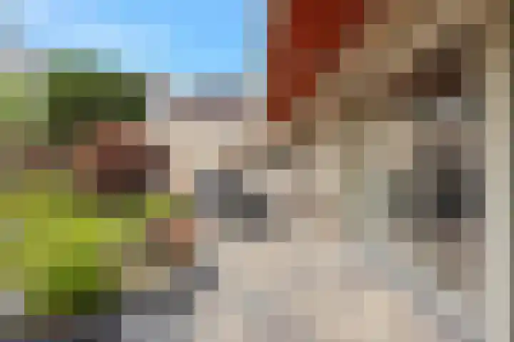 Boomven 1 Veldhoven thumbnail 59