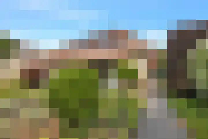 Boomven 1 Veldhoven thumbnail 60