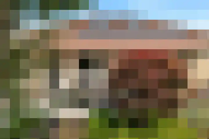 Boomven 1 Veldhoven thumbnail 61