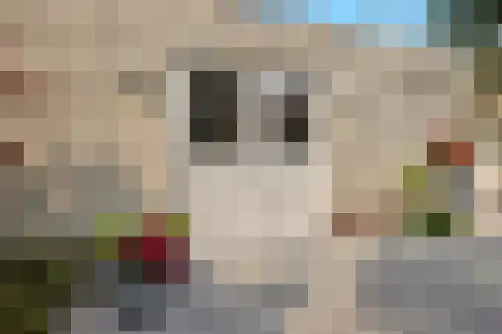 Boomven 1 Veldhoven thumbnail 62