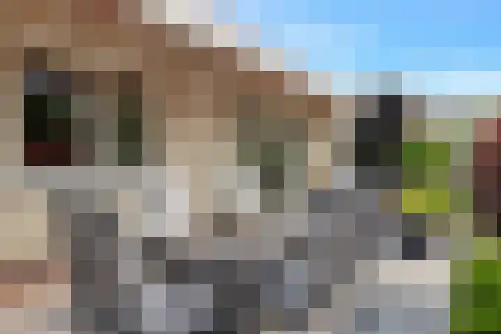 Boomven 1 Veldhoven thumbnail 64