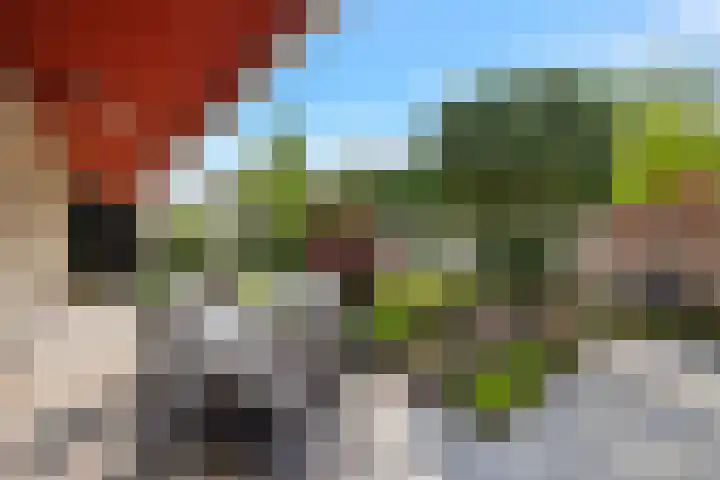Boomven 1 Veldhoven thumbnail 65