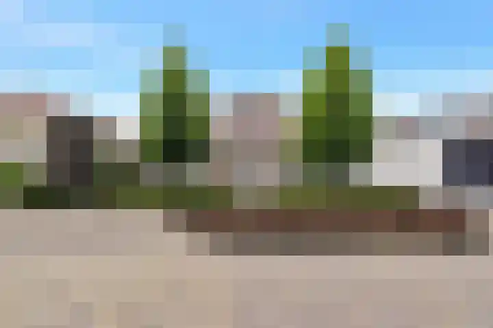 Boomven 1 Veldhoven thumbnail 66