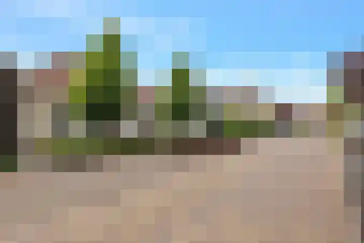 Boomven 1 Veldhoven thumbnail 70