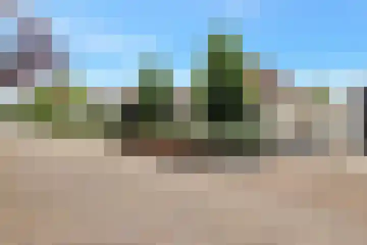 Boomven 1 Veldhoven thumbnail 71