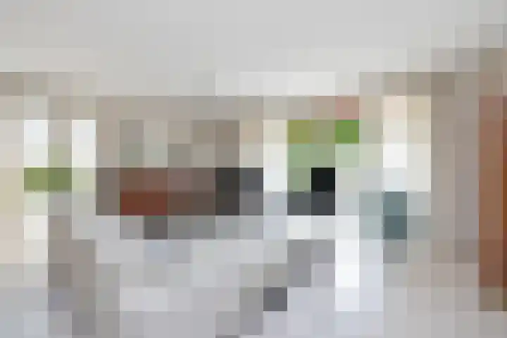 Boomven 1 Veldhoven thumbnail 8