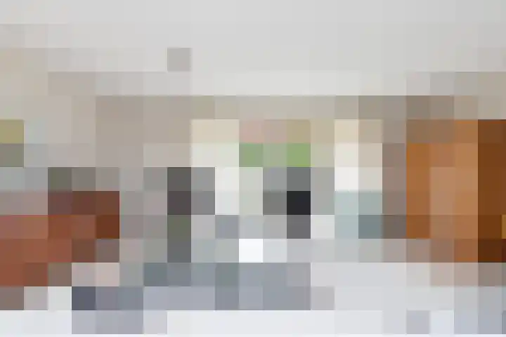 Boomven 1 Veldhoven thumbnail 9
