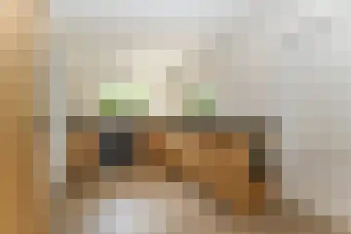 Boomweg 11 Rockanje thumbnail 11