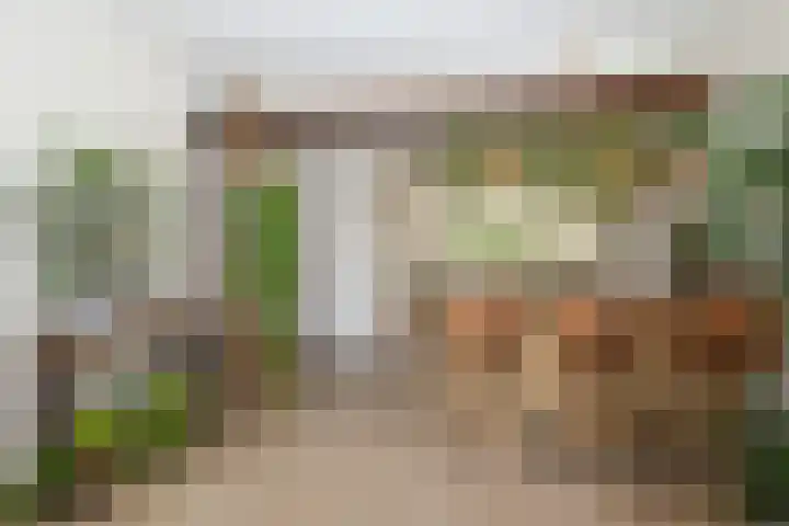 Boomweg 11 Rockanje thumbnail 12