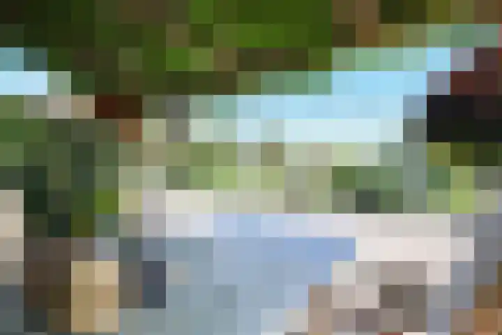 Boomweg 11 Rockanje thumbnail 17