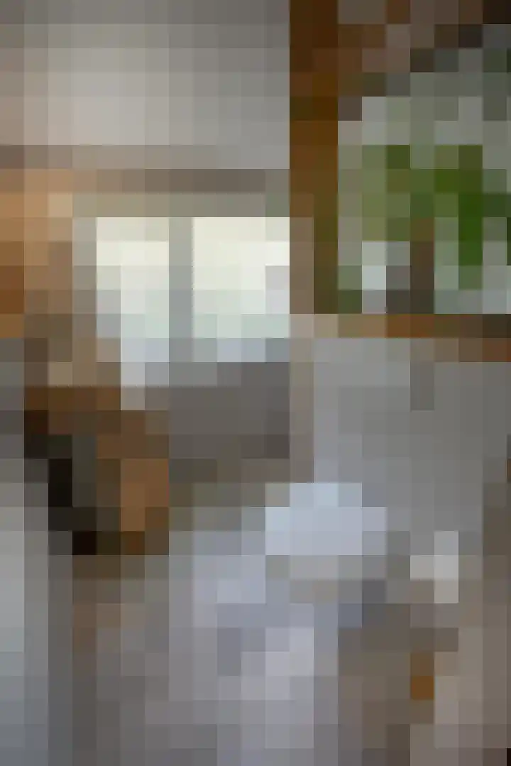 Boomweg 11 Rockanje thumbnail 24