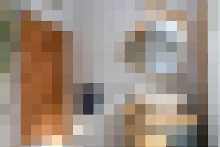Boomweg 11 Rockanje thumbnail 25