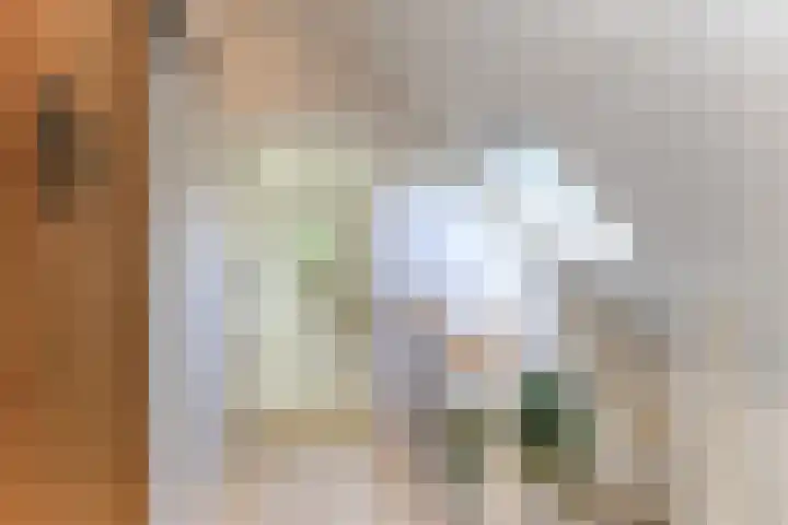 Boomweg 11 Rockanje thumbnail 29