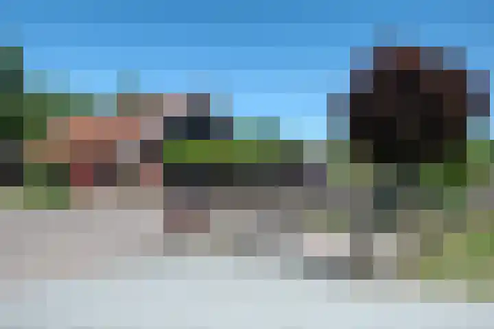 Boomweg 11 Rockanje thumbnail 30