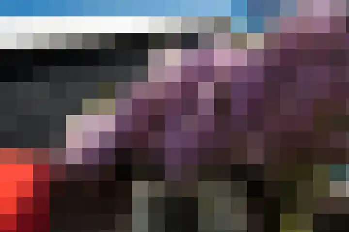Boomweg 11 Rockanje thumbnail 31