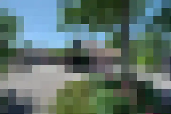 Boomweg 11 Rockanje thumbnail 32