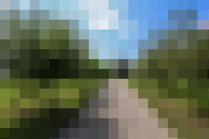 Boomweg 11 Rockanje thumbnail 33