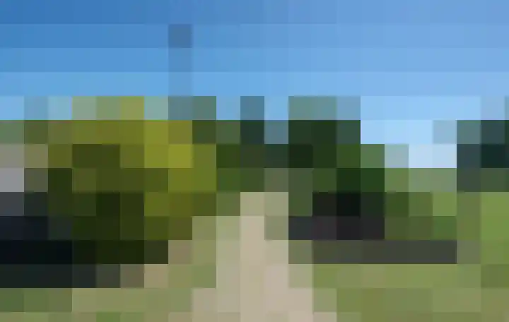 Boomweg 11 Rockanje thumbnail 34
