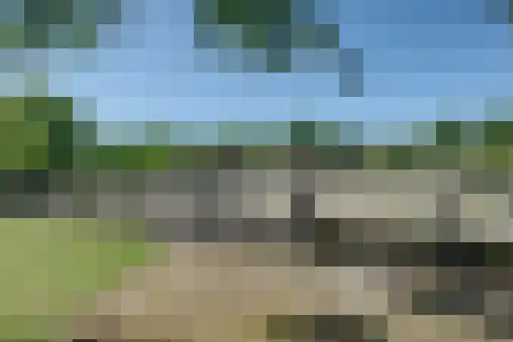 Boomweg 11 Rockanje thumbnail 35