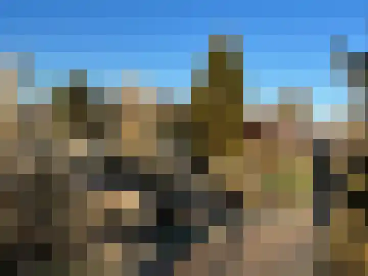 Boomweg 11 Rockanje thumbnail 36