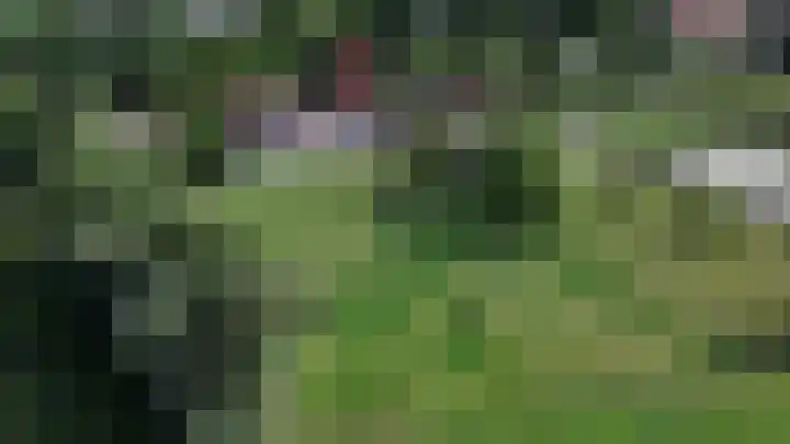 Boomweg 11 Rockanje thumbnail 39
