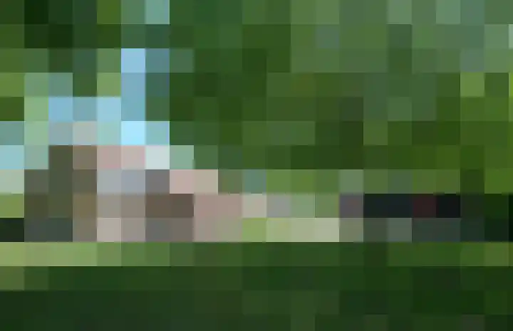 Boomweg 11 Rockanje thumbnail 4