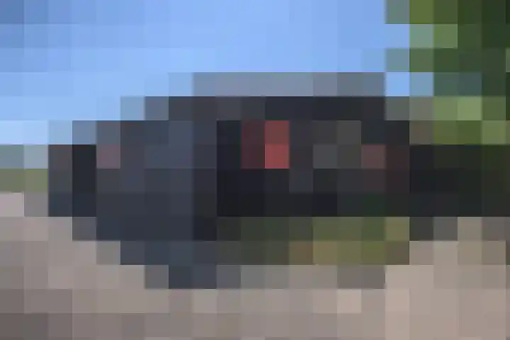 Boomweg 11 Rockanje thumbnail 5