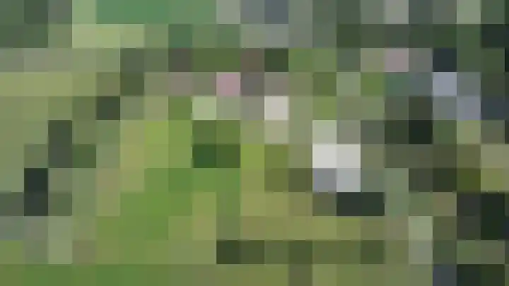 Boomweg 11 Rockanje thumbnail 7