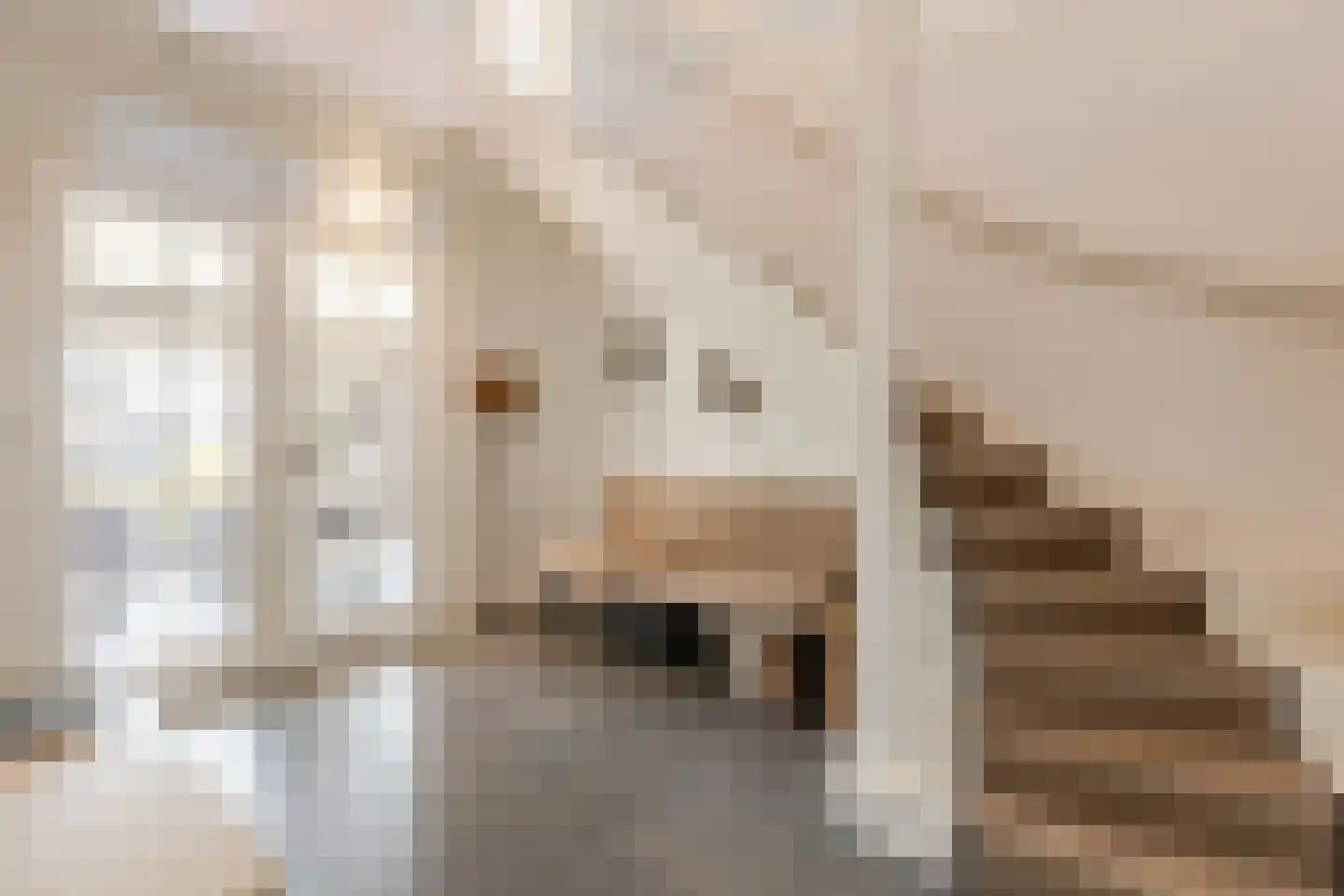 Boomweg 13 b Rockanje thumbnail 10